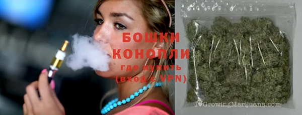 PSILOCYBIN Белоозёрский