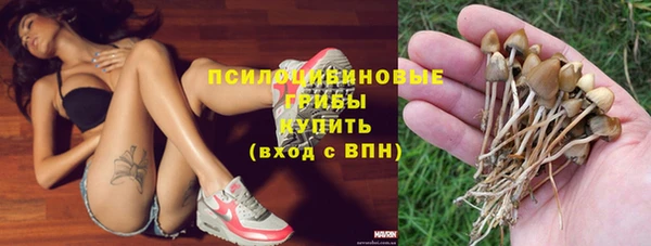mix Белокуриха