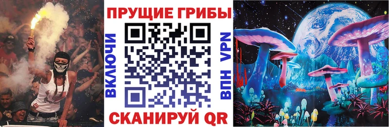 магазин продажи наркотиков  Верещагино  Псилоцибиновые грибы ЛСД 